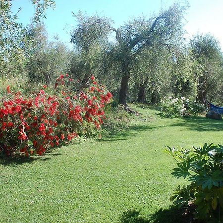 Il Pino Panzió Vetulonia Kültér fotó