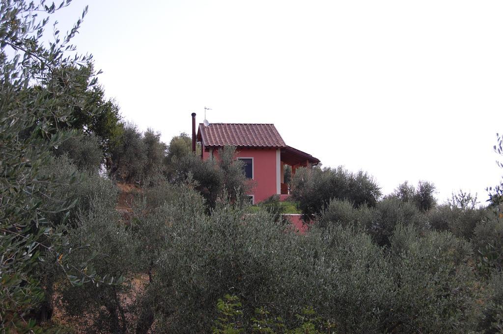 Il Pino Panzió Vetulonia Kültér fotó
