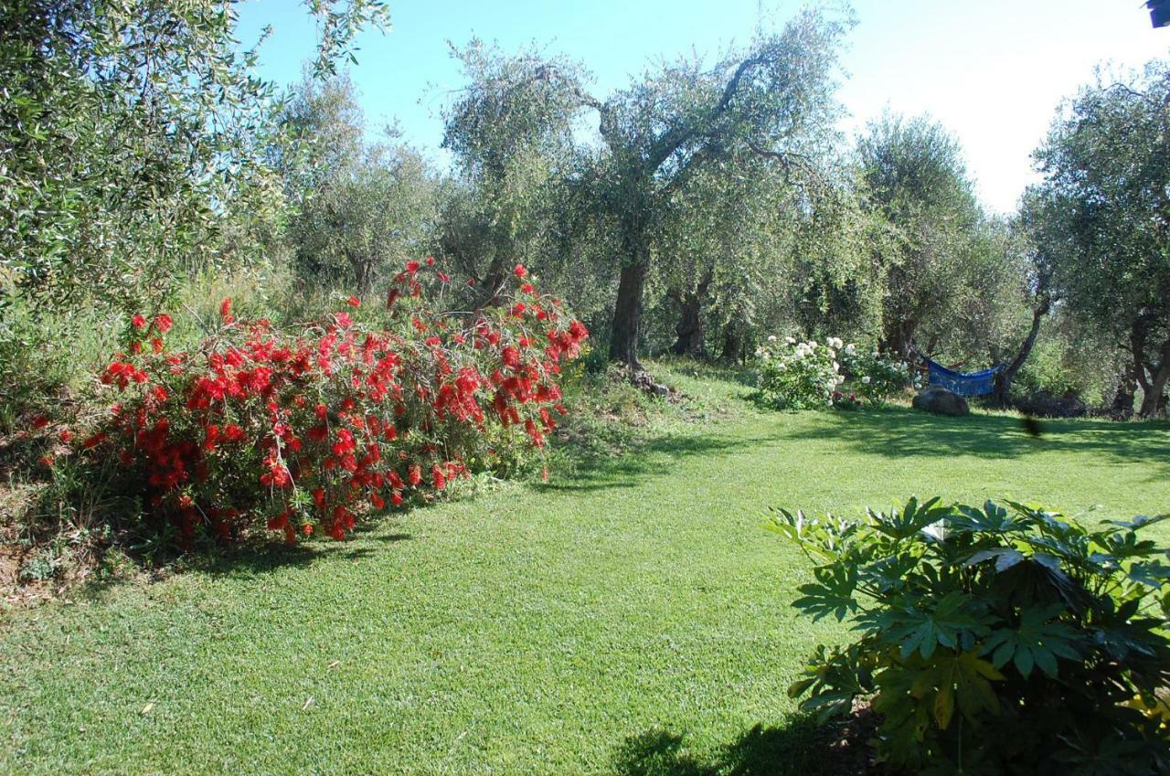 Il Pino Panzió Vetulonia Kültér fotó